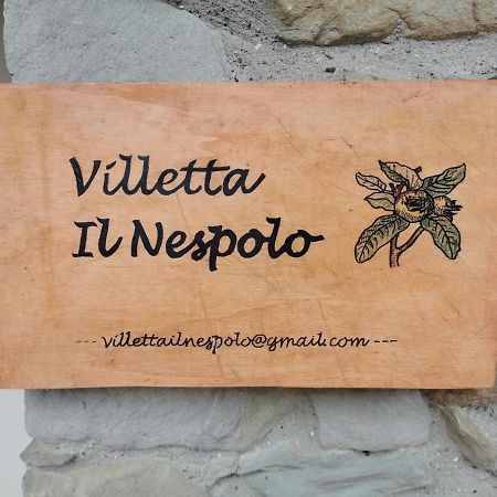 Villetta Il Nespolo Barberino di Mugello Exteriör bild